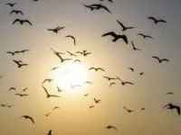 هواشناسی