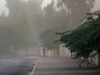 باد شدید