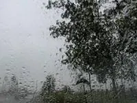 هواشناسی