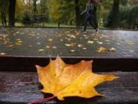 بارش ها در پاییز