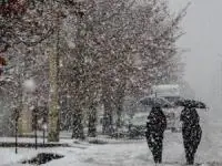 بارش باران