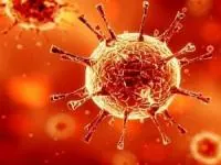 ویروس کرونا