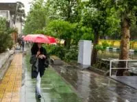 بارش باران