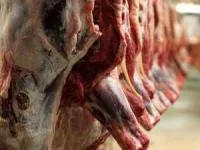 قیمت گوشت