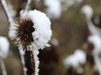 پیش بینی هواشناسی
