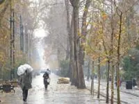 بارش باران
