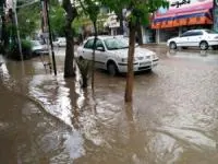 هواشناسی