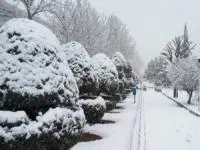 بارش های زمستانی