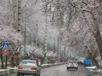 هواشناسی