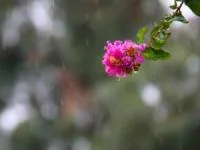 وضعیت جوی