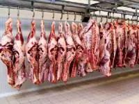 گوشت قرمز