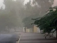 وزش باد شدید