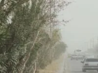 هواشناسی