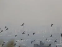 تعطیلی مدارس