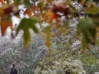 سامانه بارشی