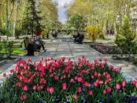 آب و هوای تهران