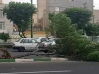 وزش باد شدید