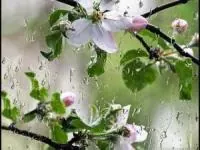 هواشناسی