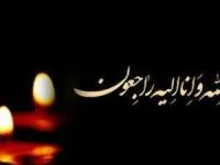 فوتبالیست