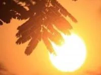 دمای کربلا