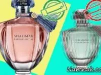 راهنمای خرید عطر و ادکلن اصل (عطر اورجینال) و تشخیص تقل