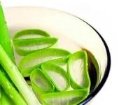 نگهداری آلوئه ورا در یخچال