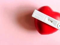 تشکیل قلب جنین