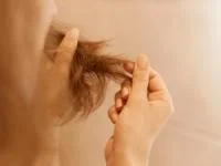 موخوره