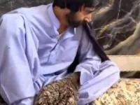مرد درختی