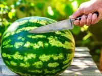 هندوانه نیترات دار