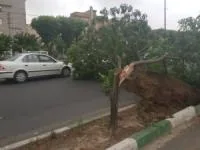 طوفان در تهران