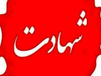 دکتر سید ایثار طباطبایی قمشه