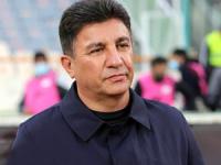 امیر قلعه نویی