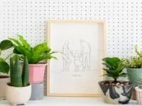 گیاه پژمرده