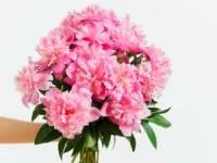 جلب محبت همسر