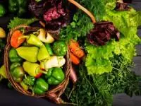 نیاز بدن به سبزیجات