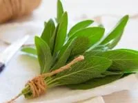 گیاه مرموک