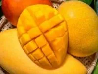 خواص انبه