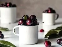 عوارض آلبالو