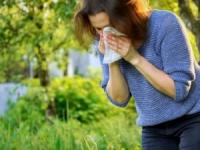 درمان آلرژی پاییزی