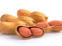 بادام زمینی