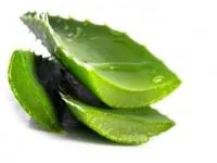 آلوئه ورا و قلب