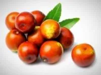 عناب