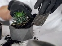 نگهداری گل و گیاه