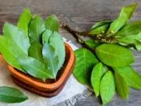 برگ بو و سیر