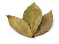 خواص برگ بو برای پوست 