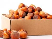 فندق برای پوست