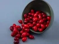 زغال اخته