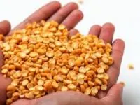خواص لپه