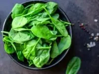 پرورش اسفناج